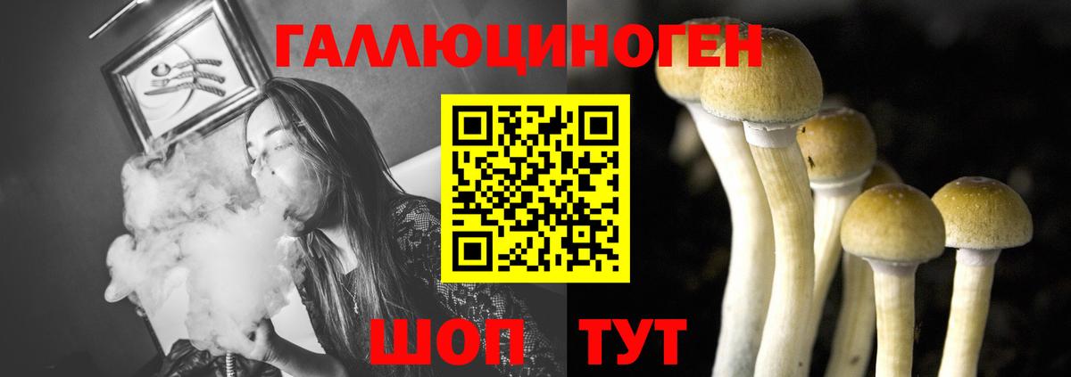 Миллерово  Псилоцибиновые грибы мухоморы  Псилоцибиновые грибы Psilocybe  Вход с VPN 